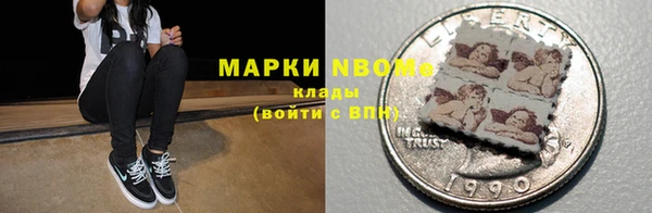 шишки Горнозаводск