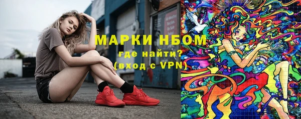 шишки Горнозаводск
