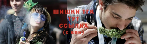 МДПВ Горняк