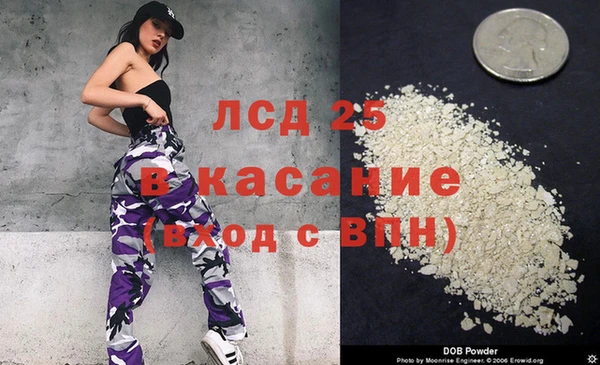 шишки Горнозаводск