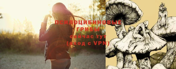 шишки Горнозаводск