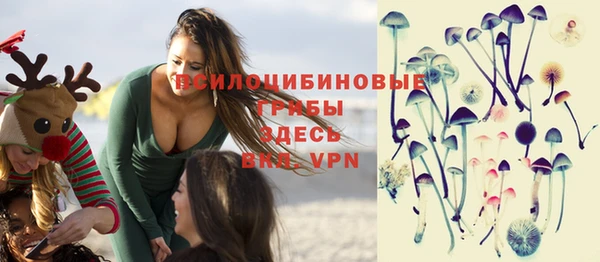 крисы Вяземский