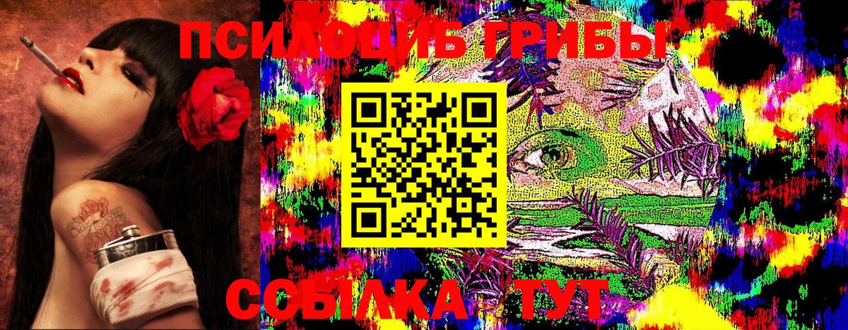 Псилоцибиновые грибы GOLDEN TEACHER Геленджик